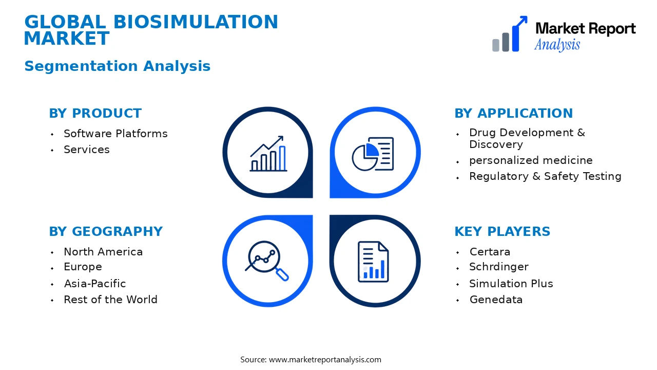 Biosimulation Market Segments and Segmentation Analysis Biosimulation Market Segments and Segmentation Analysis