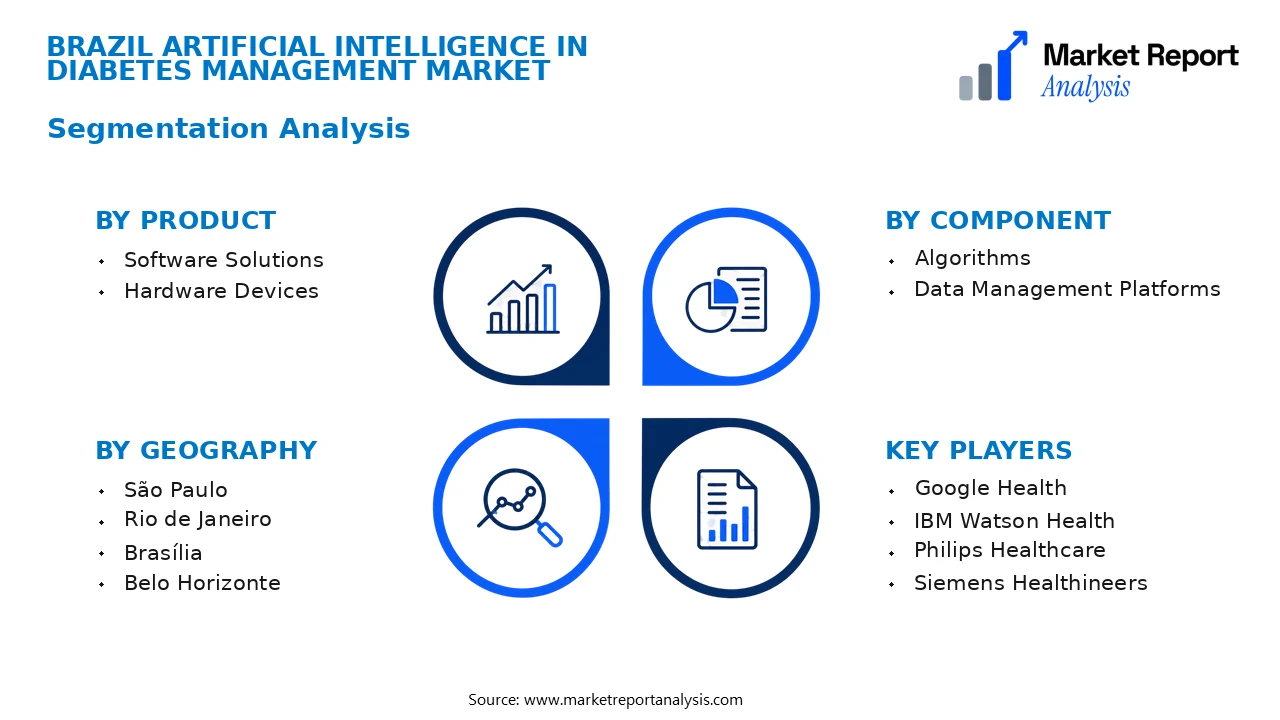 Brazil Artificial Intelligence in Diabetes Management Market Segments and Segmentation Analysis Brazil Artificial Intelligence in Diabetes Management Market Segments and Segmentation Analysis