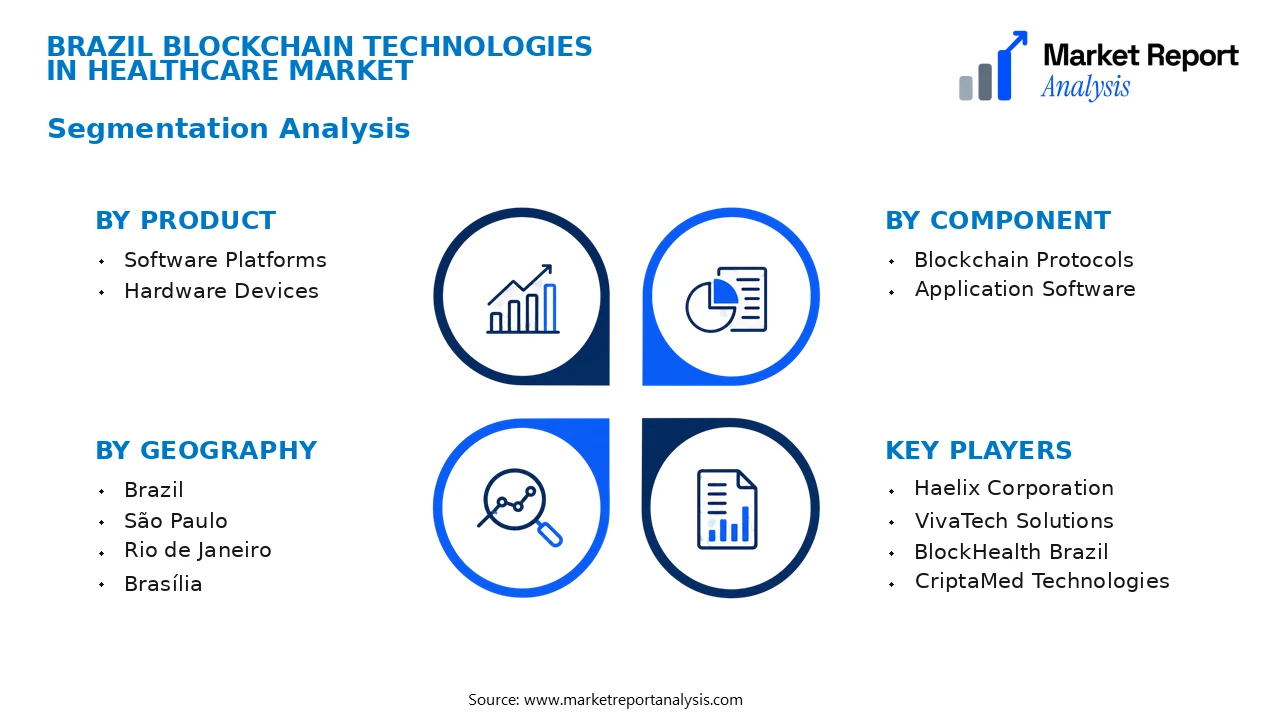 Brazil Blockchain Technologies In Healthcare Market Segments and Segmentation Analysis Brazil Blockchain Technologies In Healthcare Market Segments and Segmentation Analysis