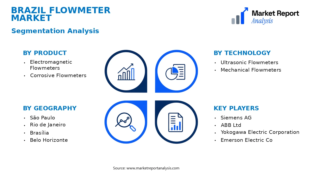 Brazil Flowmeter Market Segments and Segmentation Analysis