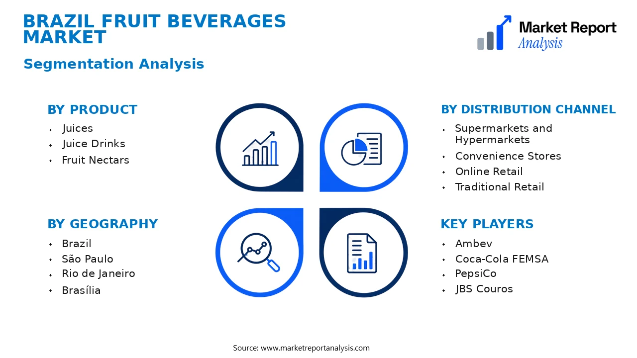 Brazil Fruit Beverages Market Segments and Segmentation Analysis
