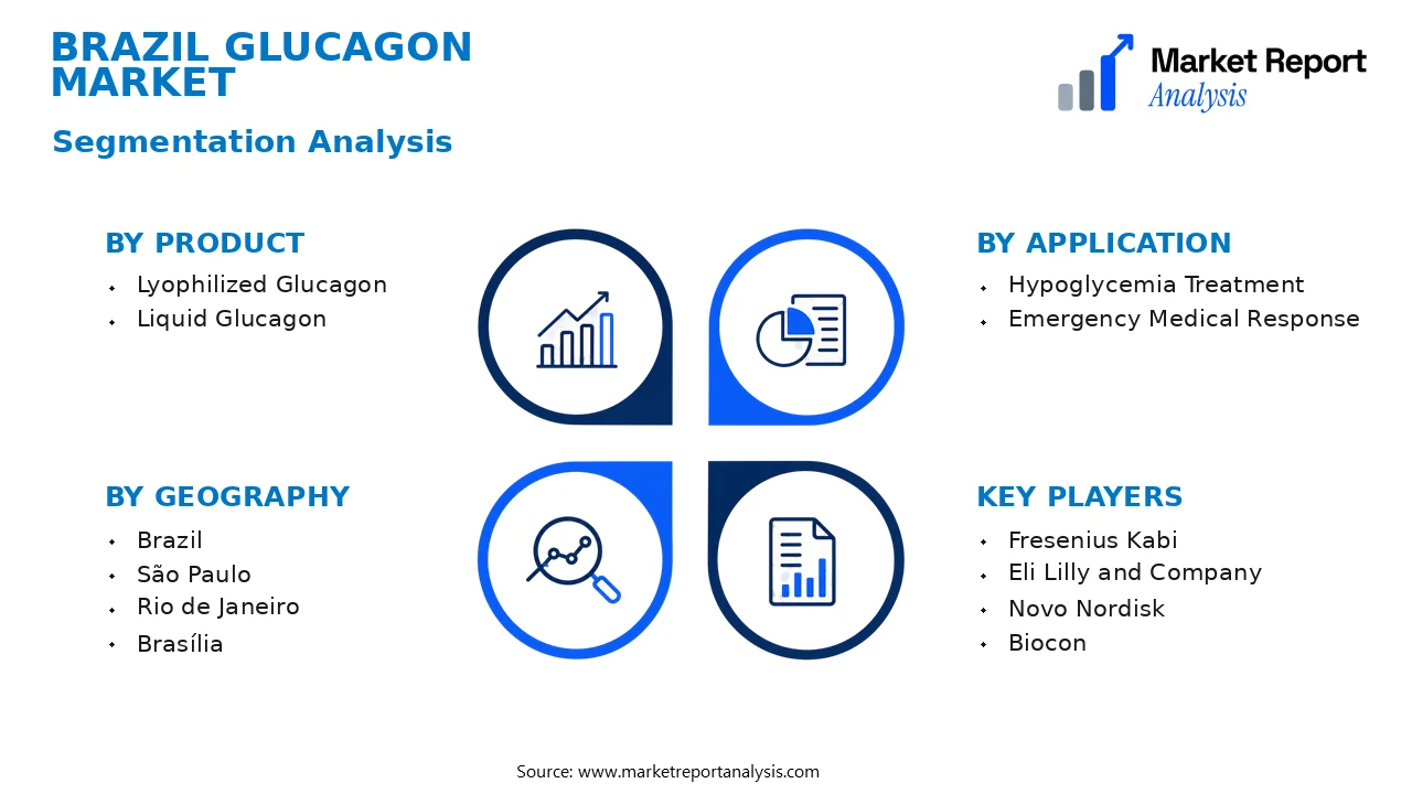 Brazil Glucagon Market Segments and Segmentation Analysis