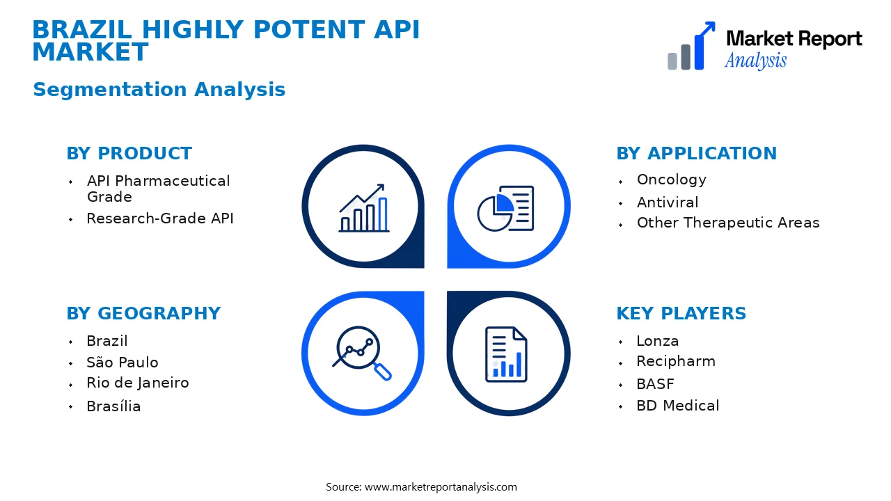 Brazil Highly Potent API Market Segments and Segmentation Analysis Brazil Highly Potent API Market Segments and Segmentation Analysis