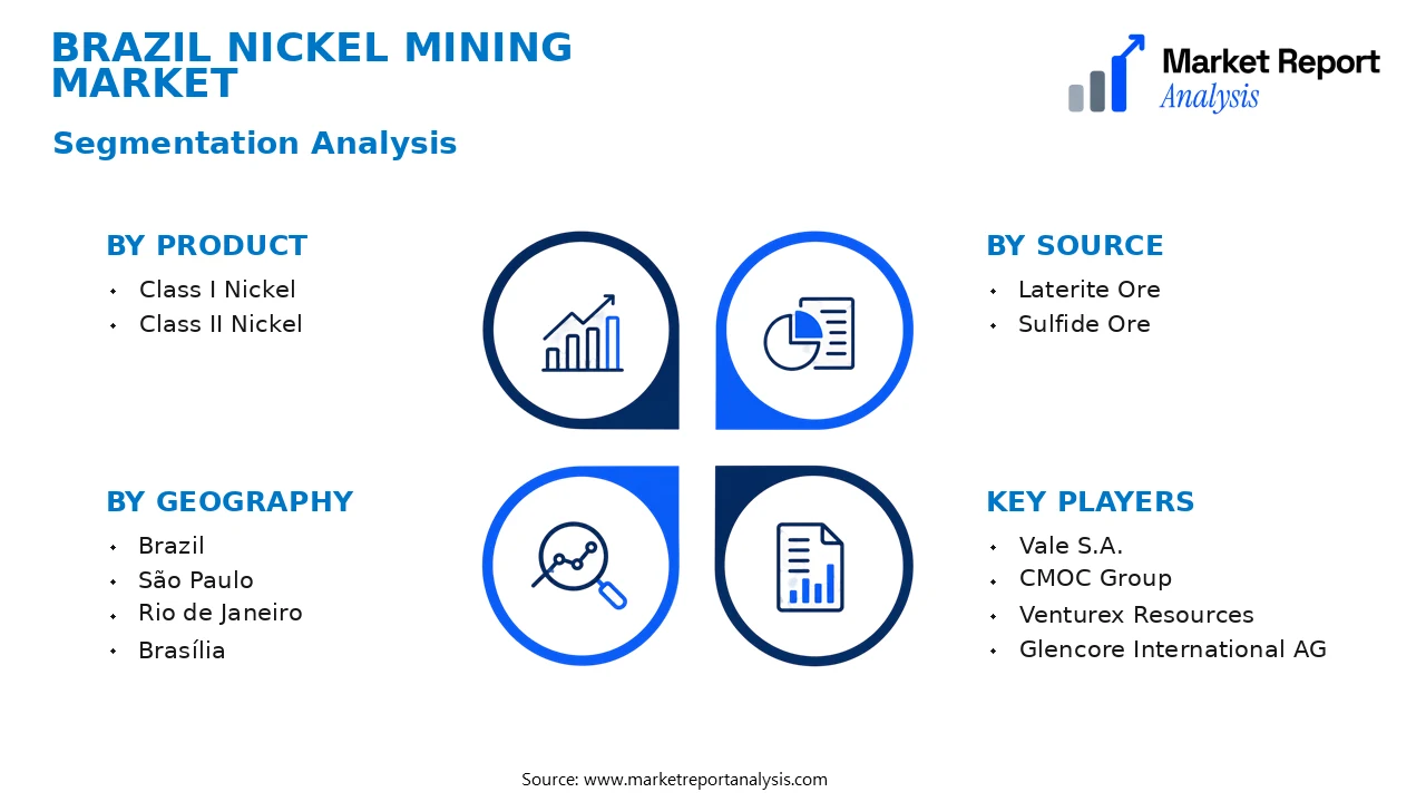Brazil Nickel Mining Market Segments and Segmentation Analysis Brazil Nickel Mining Market Segments and Segmentation Analysis