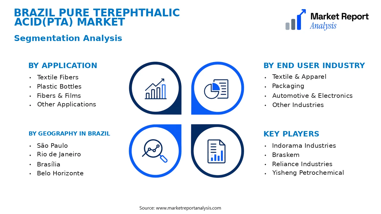 Brazil Pure Terephthalic Acid(Pta) Market Segments and Segmentation Analysis