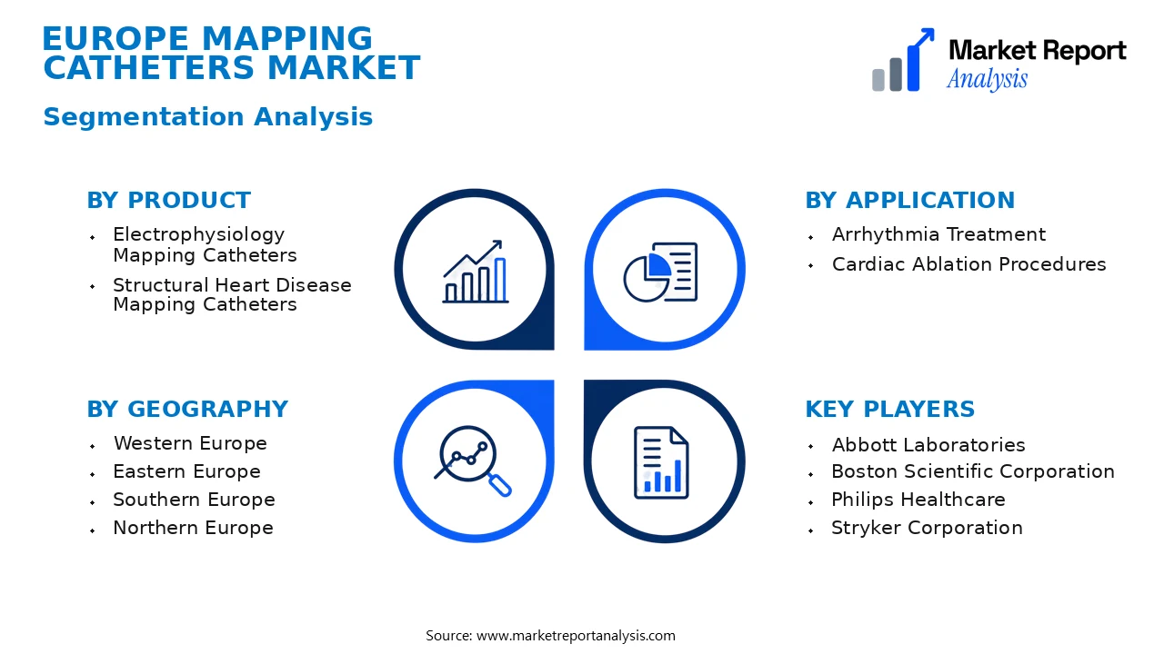 Europe Mapping Catheters Market Segments and Segmentation Analysis Europe Mapping Catheters Market Segments and Segmentation Analysis
