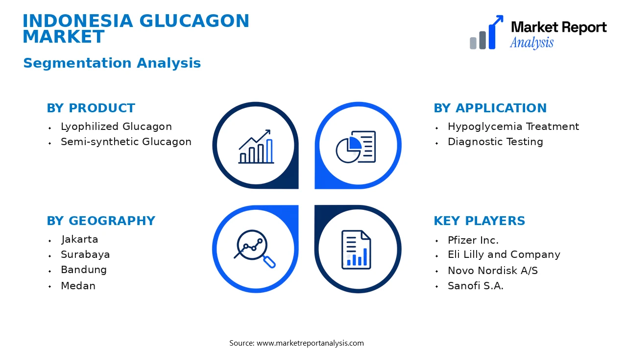 Indonesia Glucagon Market Segments and Segmentation Analysis