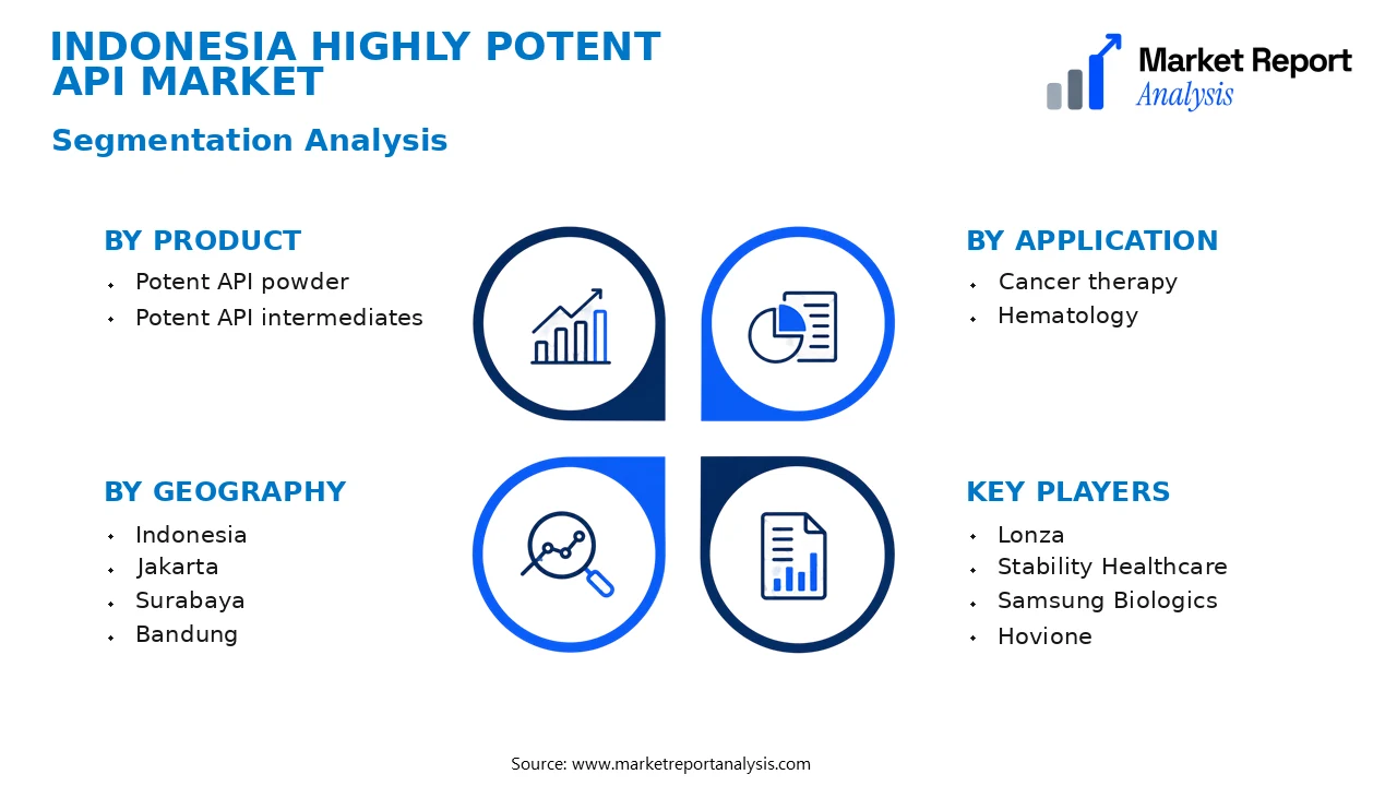 Indonesia Highly Potent API Market Segments and Segmentation Analysis