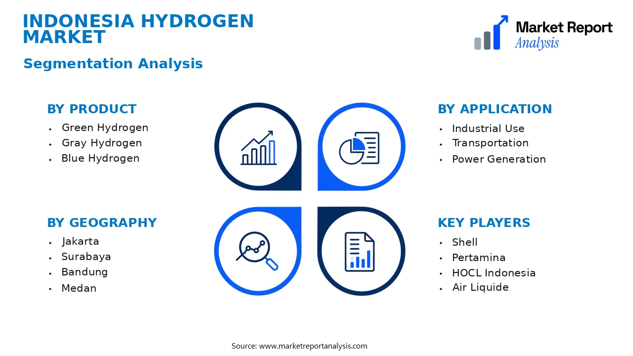 Indonesia Hydrogen Market Segments and Segmentation Analysis