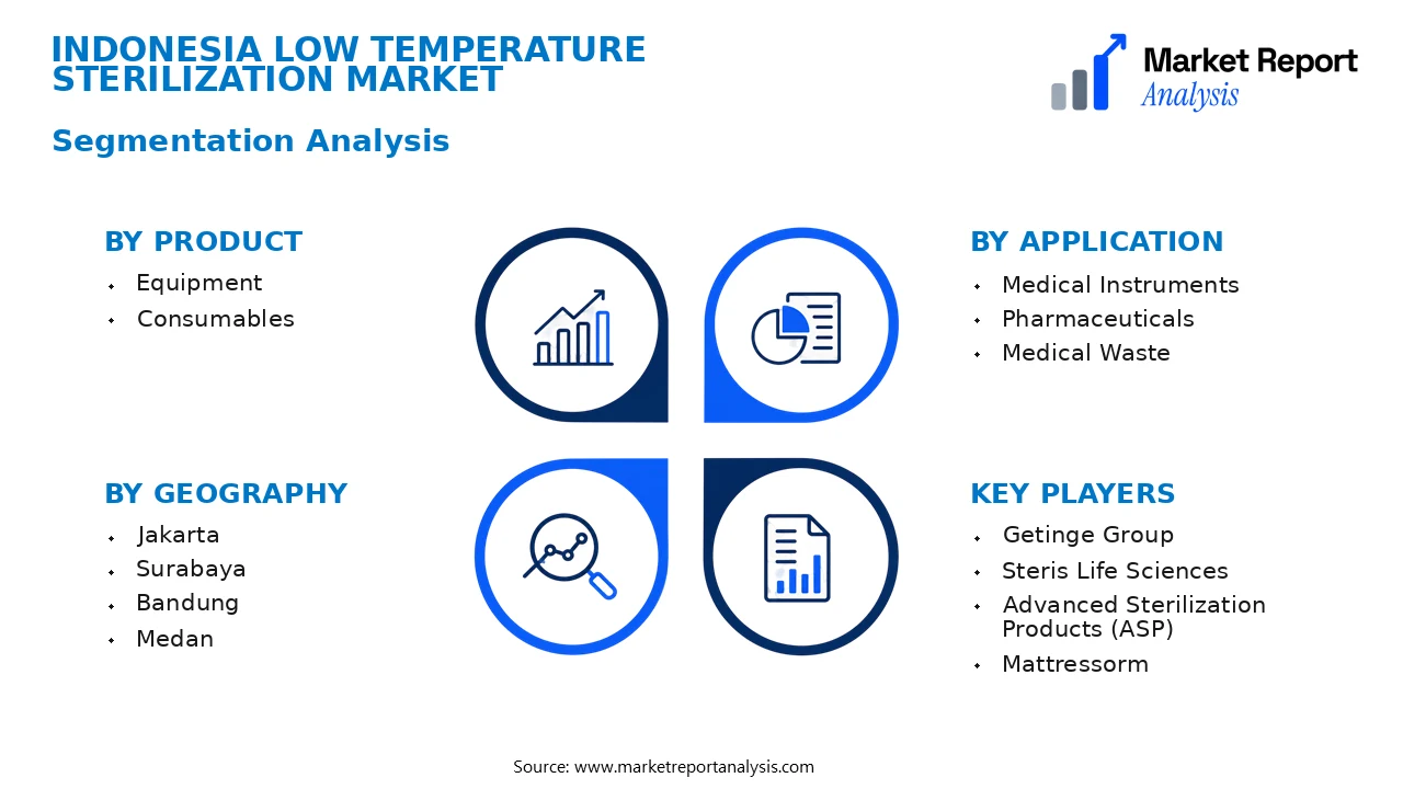 Indonesia Low Temperature Sterilization Market Segments and Segmentation Analysis Indonesia Low Temperature Sterilization Market Segments and Segmentation Analysis