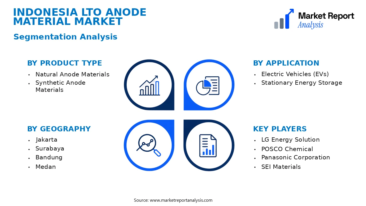 Indonesia Lto Anode Material Market Segments and Segmentation Analysis
