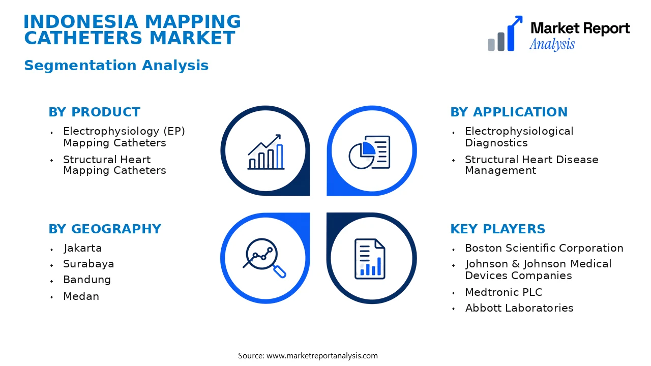 Indonesia Mapping Catheters Market Segments and Segmentation Analysis Indonesia Mapping Catheters Market Segments and Segmentation Analysis