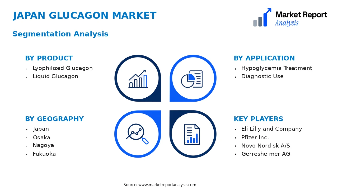 Japan Glucagon Market Segments and Segmentation Analysis