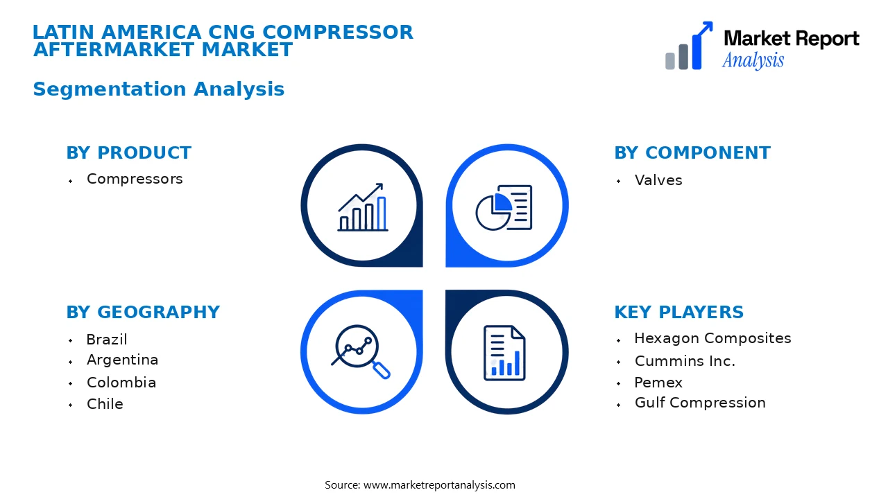 Latin America CNG Compressor Aftermarket Market Segments and Segmentation Analysis Latin America CNG Compressor Aftermarket Market Segments and Segmentation Analysis