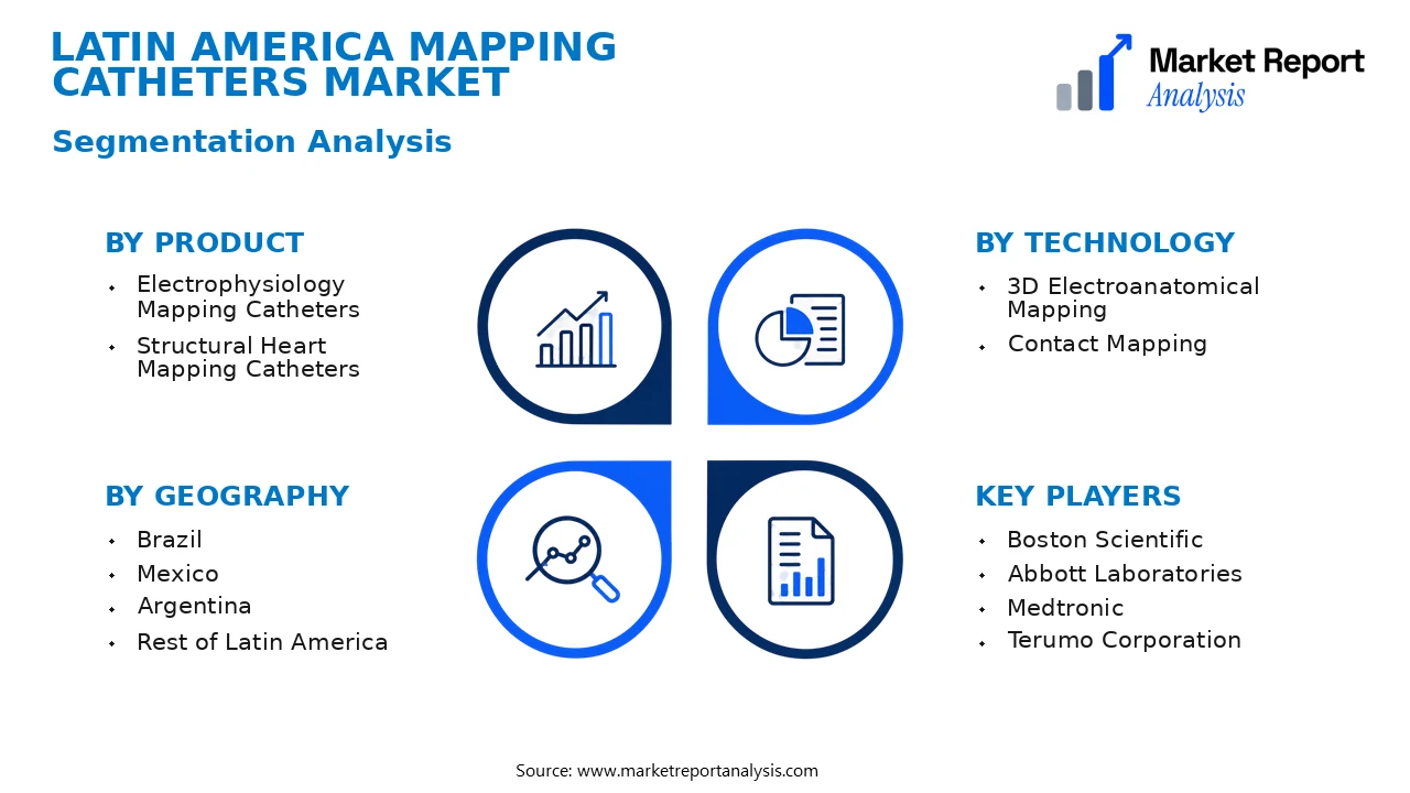 Latin America Mapping Catheters Market Segments and Segmentation Analysis Latin America Mapping Catheters Market Segments and Segmentation Analysis