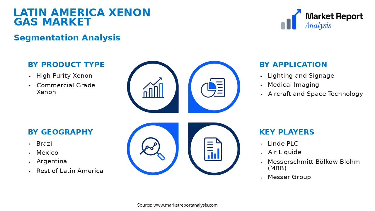Latin America Xenon Gas Market Segments and Segmentation Analysis