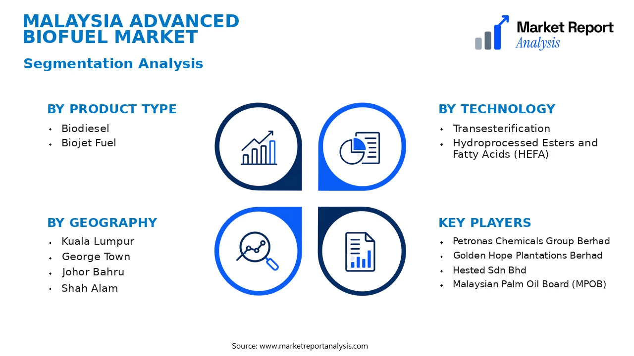 Malaysia Advanced Biofuel Market Segments and Segmentation Analysis