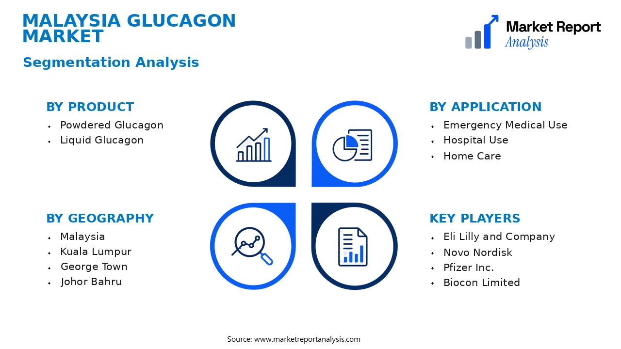 Malaysia Glucagon Market Segments and Segmentation Analysis Malaysia Glucagon Market Segments and Segmentation Analysis