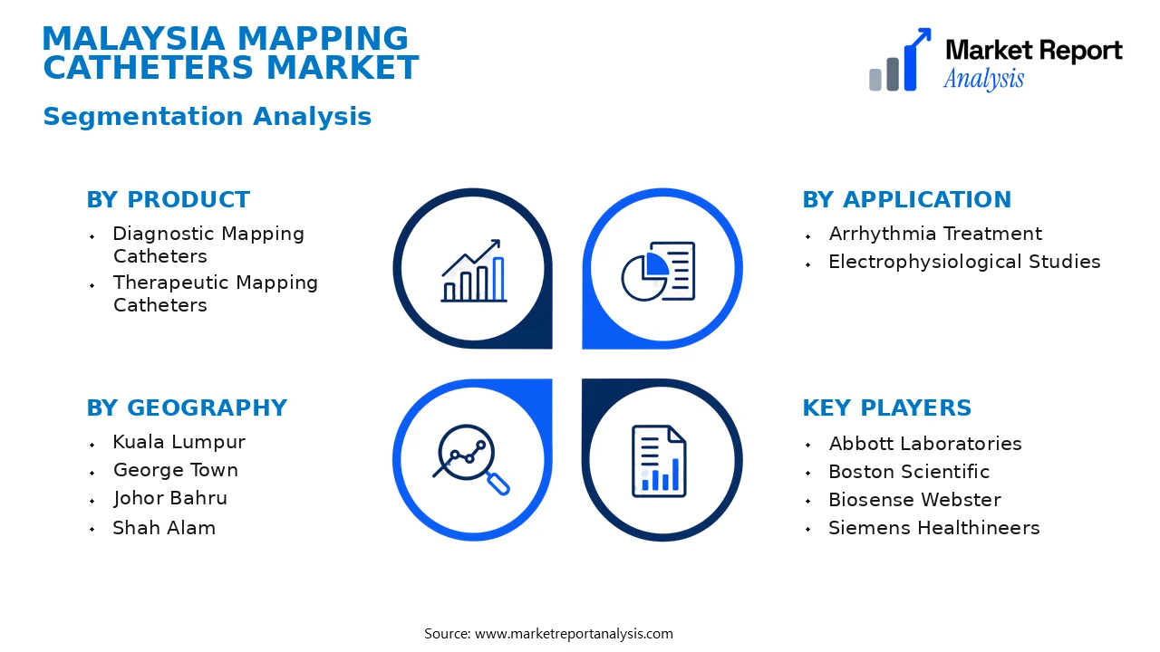 Malaysia Mapping Catheters Market Segments and Segmentation Analysis Malaysia Mapping Catheters Market Segments and Segmentation Analysis
