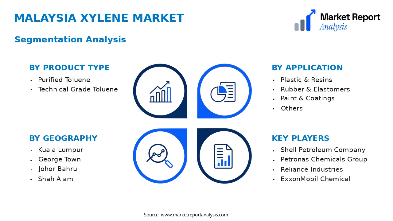 Malaysia Xylene Market Segments and Segmentation Analysis