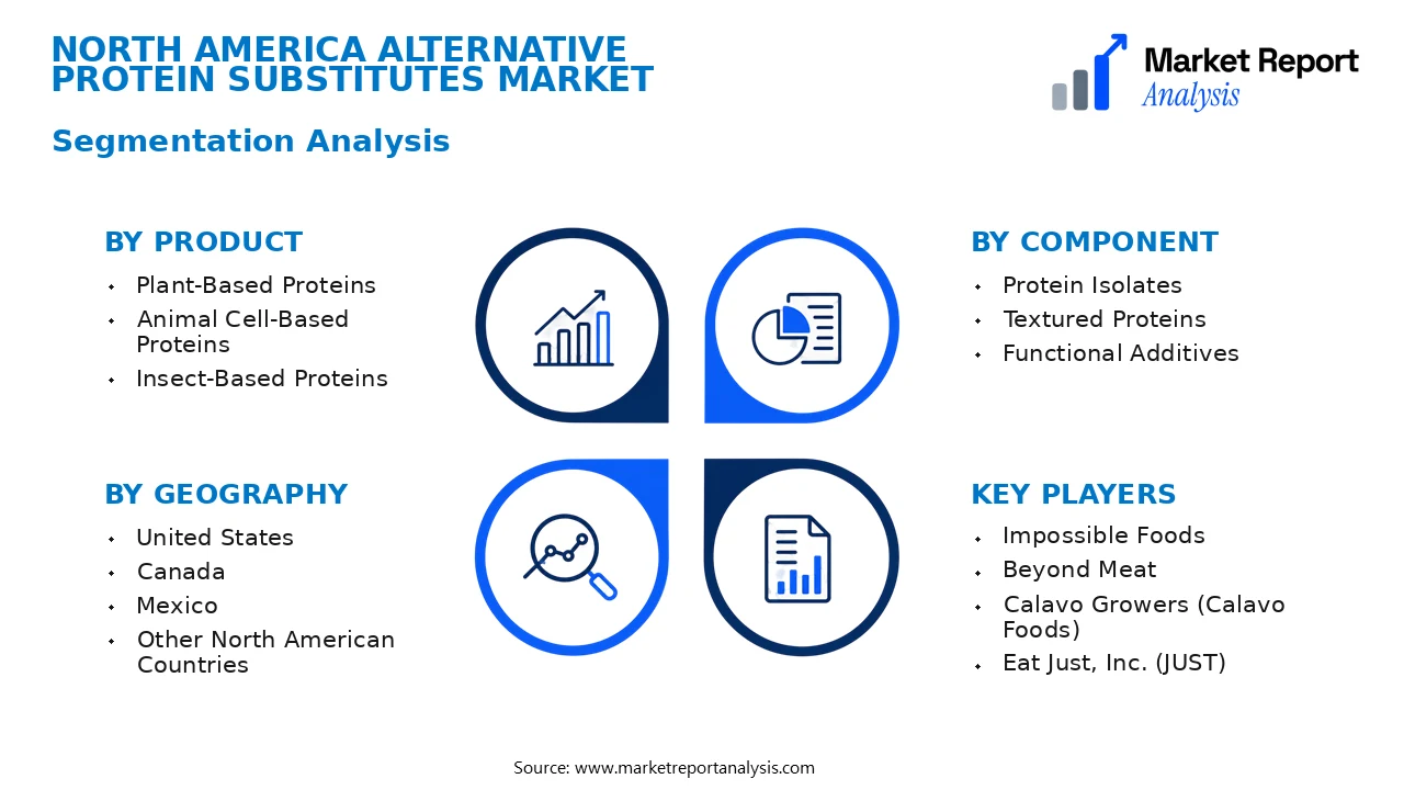 North America Alternative Protein Substitutes Market Segments and Segmentation Analysis North America Alternative Protein Substitutes Market Segments and Segmentation Analysis