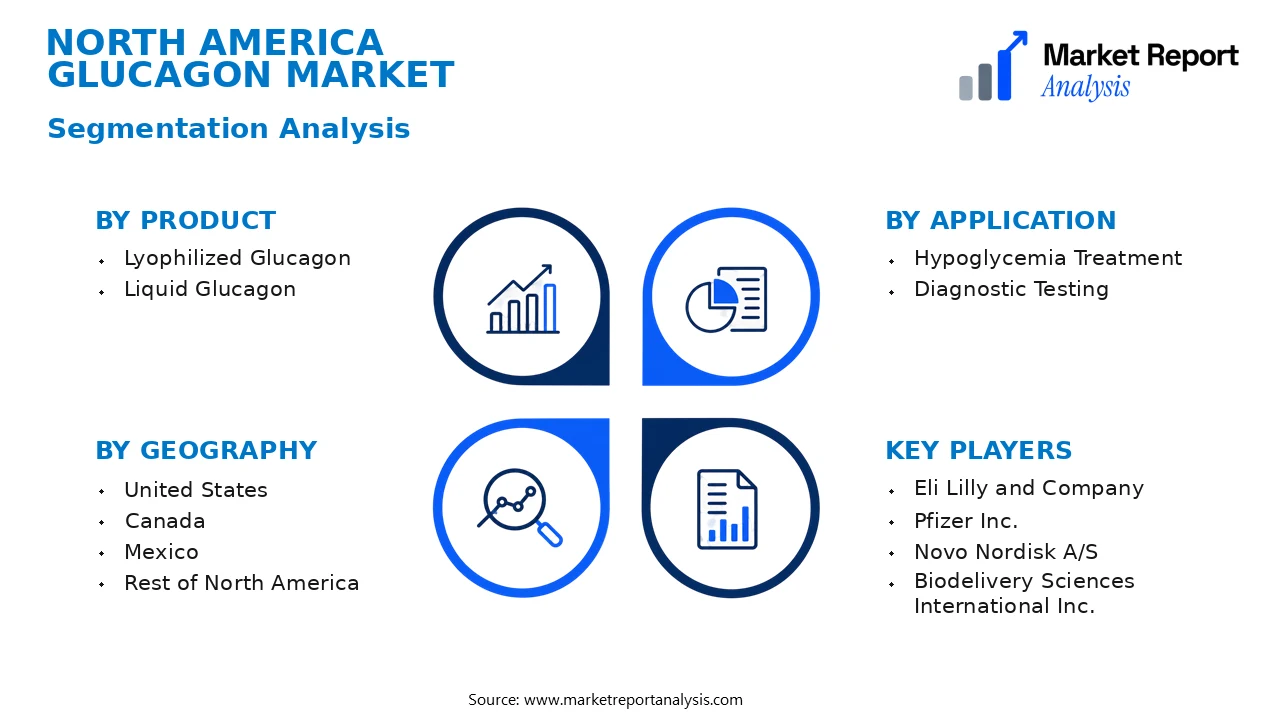 North America Glucagon Market Segments and Segmentation Analysis North America Glucagon Market Segments and Segmentation Analysis