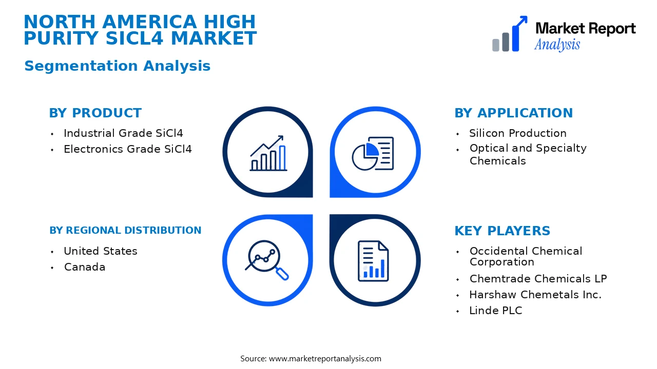 North America High Purity SiCl4 Market Segments and Segmentation Analysis North America High Purity SiCl4 Market Segments and Segmentation Analysis