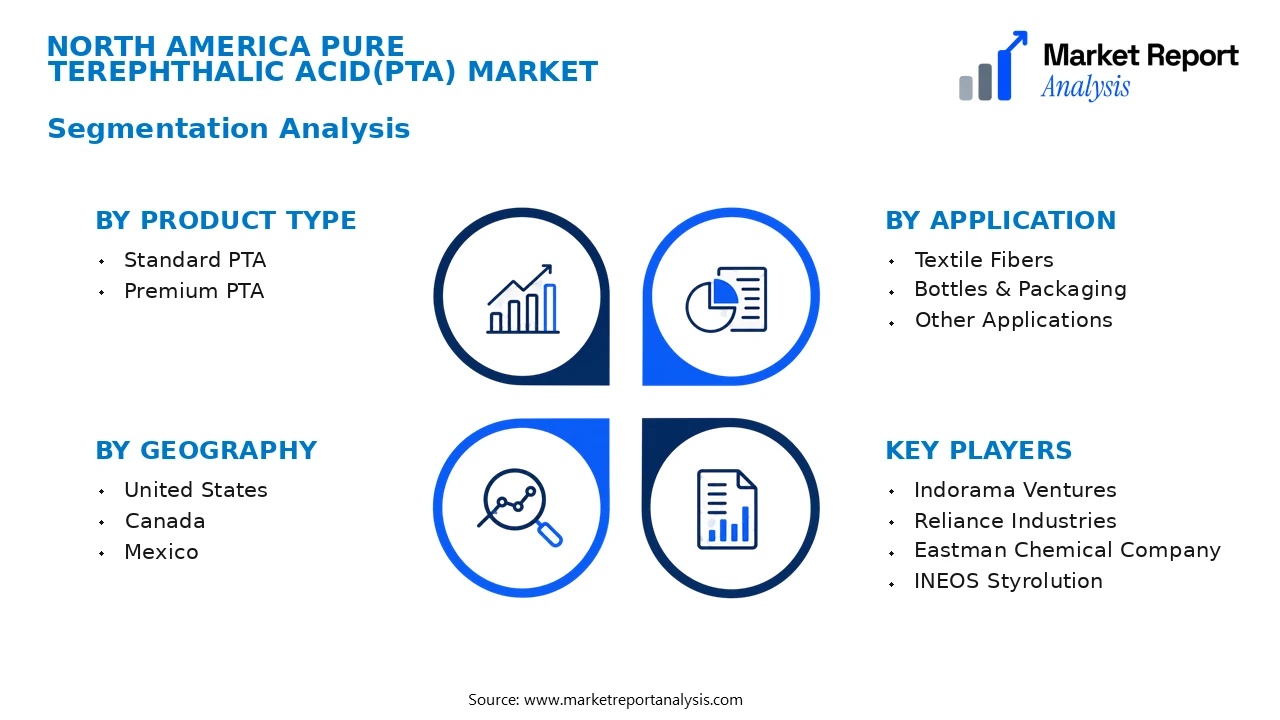 North America Pure Terephthalic Acid(Pta) Market Segments and Segmentation Analysis