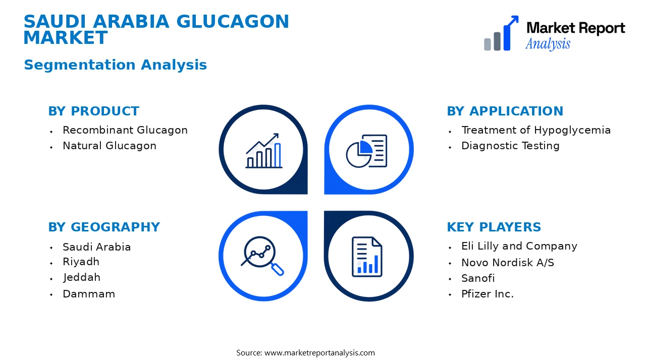 Saudi Arabia Glucagon Market Segments and Segmentation Analysis