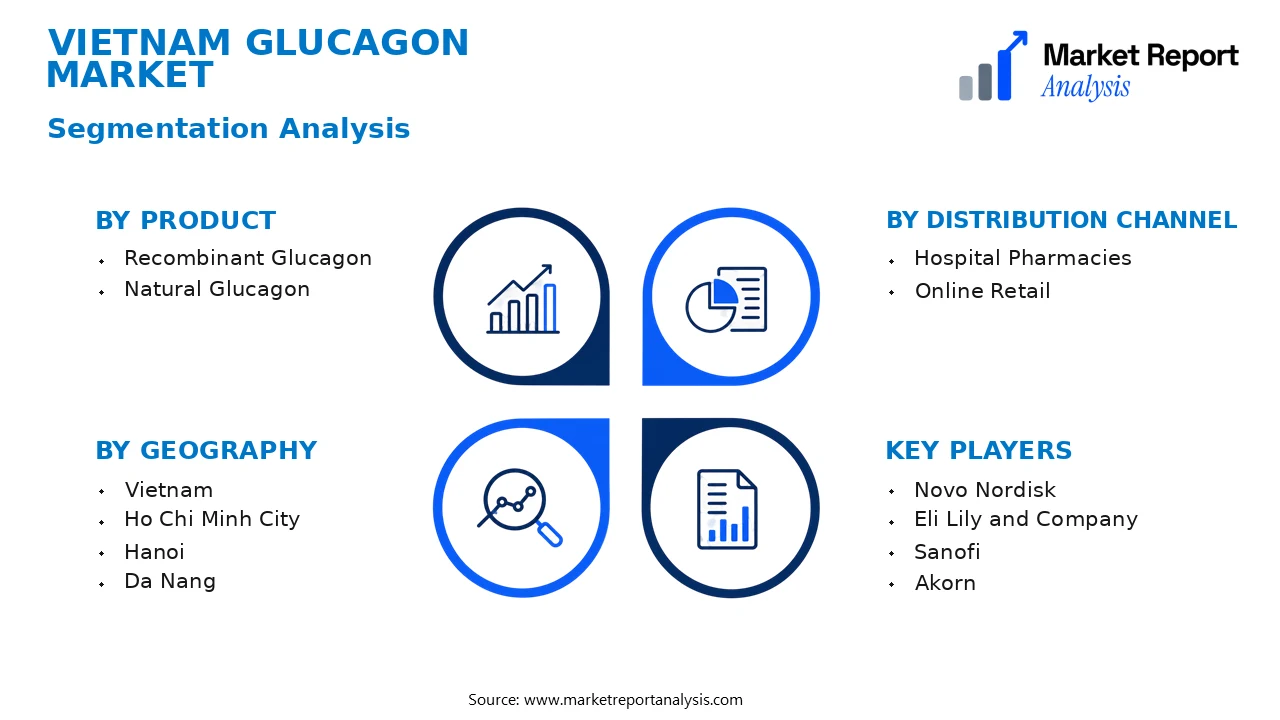 Vietnam Glucagon Market Segments and Segmentation Analysis Vietnam Glucagon Market Segments and Segmentation Analysis