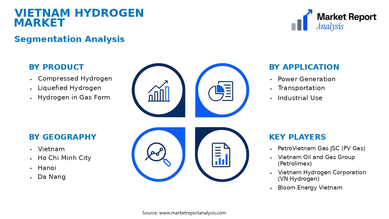 Vietnam Hydrogen Market Segments and Segmentation Analysis
