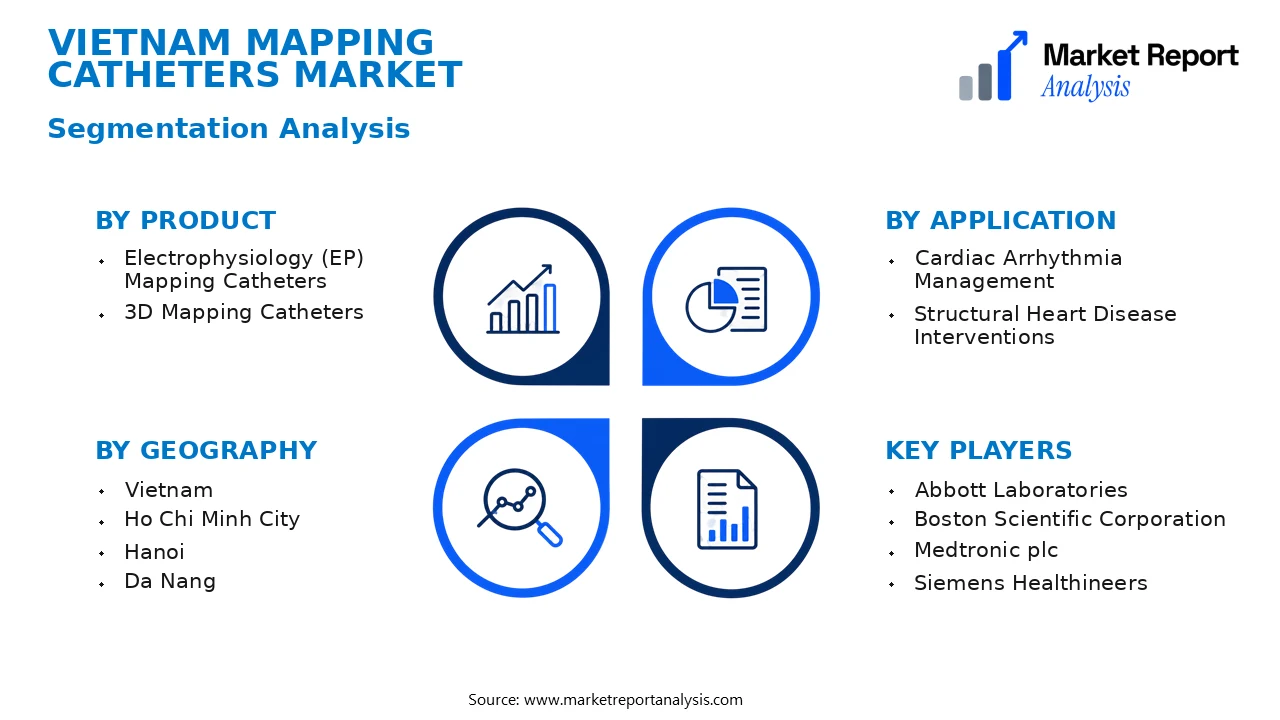Vietnam Mapping Catheters Market Segments and Segmentation Analysis Vietnam Mapping Catheters Market Segments and Segmentation Analysis