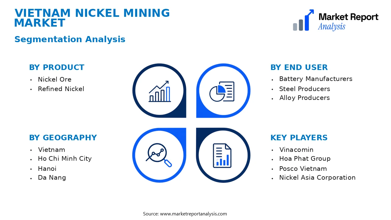 Vietnam Nickel Mining Market Segments and Segmentation Analysis