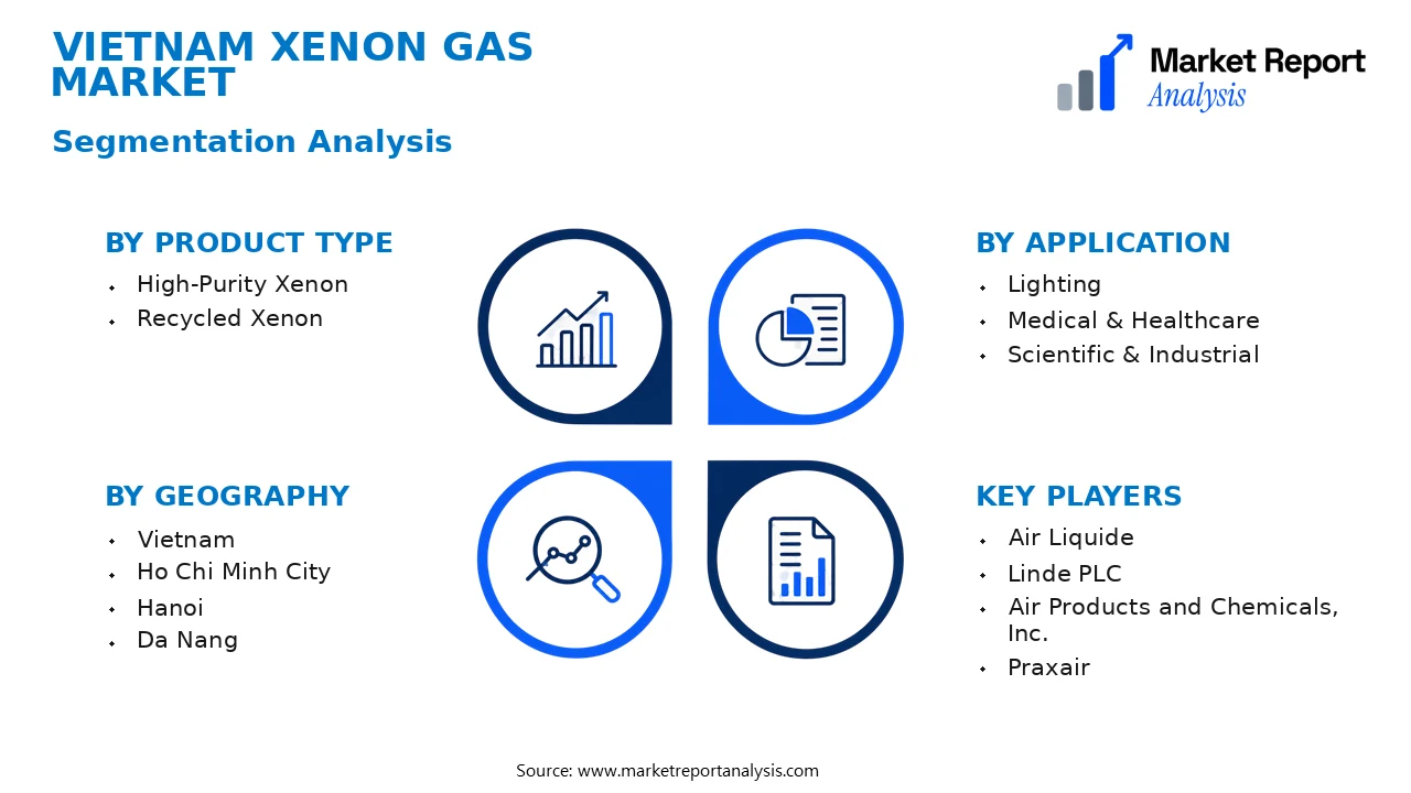 Vietnam Xenon Gas Market Segments and Segmentation Analysis
